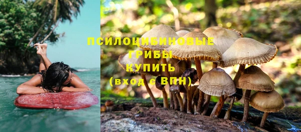 стаф Беломорск