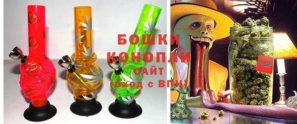 сатива Белокуриха