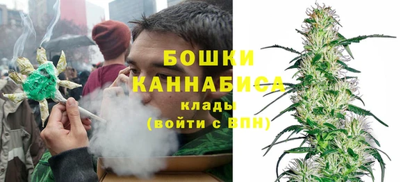 сатива Белокуриха