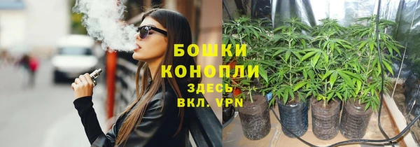 стаф Беломорск