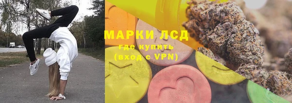 сатива Белокуриха