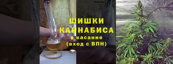 ешки Осинники